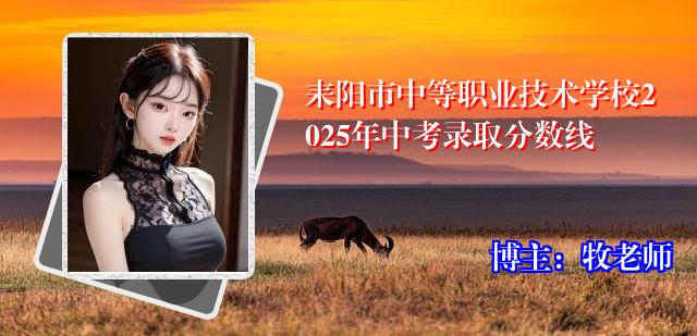 耒阳市中等职业技术学校2025年中考录取分数线