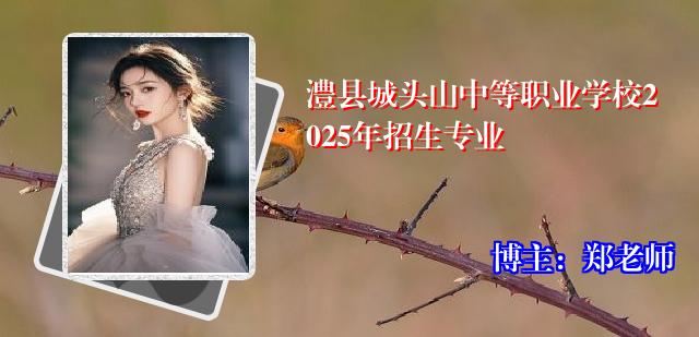澧县城头山中等职业学校2025年招生专业