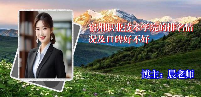 宿州职业技术学院的排名情况及口碑好不好