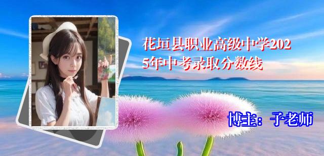 花垣县职业高级中学2025年中考录取分数线