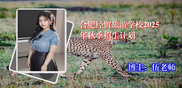 合肥经贸旅游学校2025年秋季招生计划