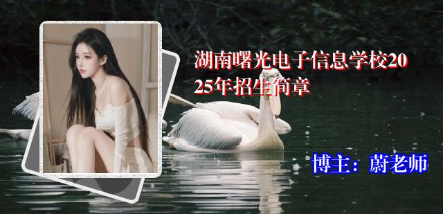 湖南曙光电子信息学校2025年招生简章