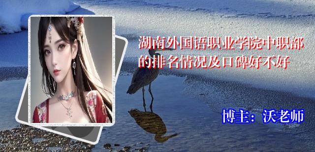 湖南外国语职业学院中职部的排名情况及口碑好不好