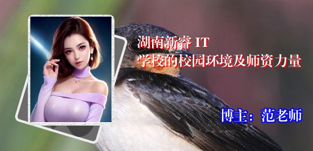 湖南新睿 IT 学校的校园环境及师资力量