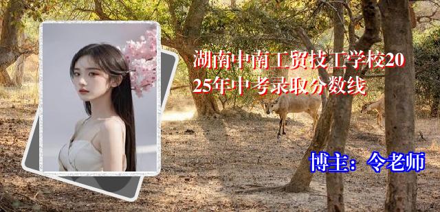 湖南中南工贸技工学校2025年中考录取分数线