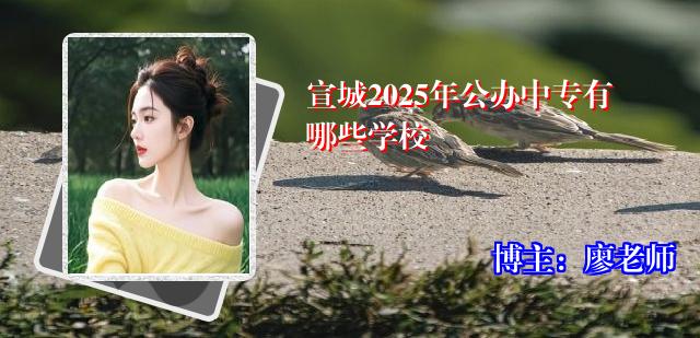 宣城2025年公办中专有哪些学校