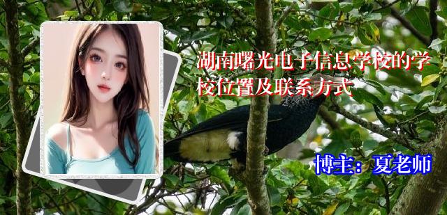 湖南曙光电子信息学校的学校位置及联系方式