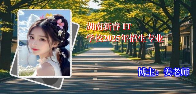 湖南新睿 IT 学校2025年招生专业