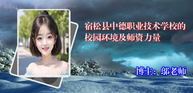 宿松县中德职业技术学校的校园环境及师资力量