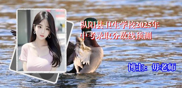 枞阳县卫生学校2025年中考录取分数线预测