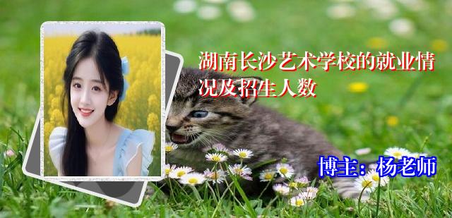 湖南长沙艺术学校的就业情况及招生人数