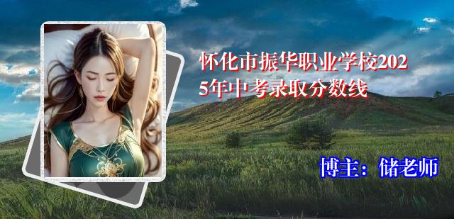 怀化市振华职业学校2025年中考录取分数线