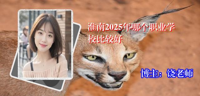 淮南2025年哪个职业学校比较好