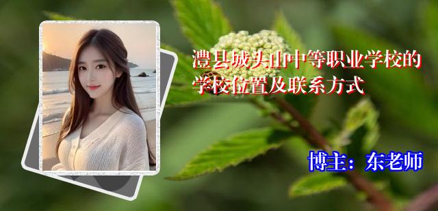 澧县城头山中等职业学校的学校位置及联系方式