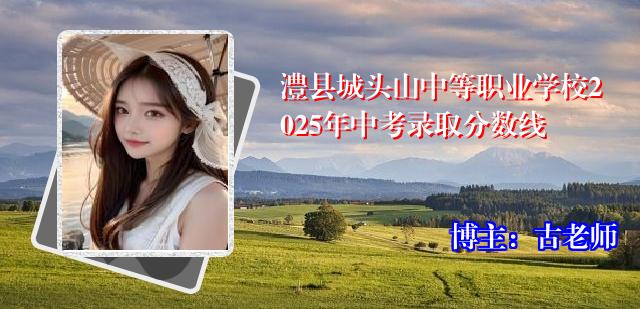 澧县城头山中等职业学校2025年中考录取分数线