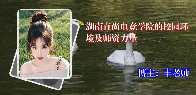 湖南直尚电竞学院的校园环境及师资力量