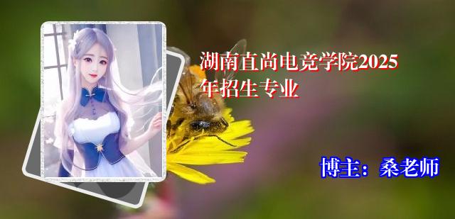 湖南直尚电竞学院2025年招生专业