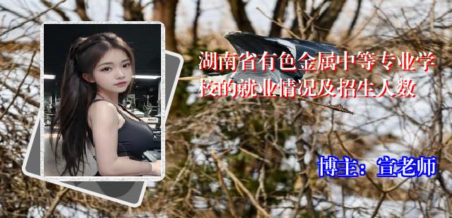 湖南省有色金属中等专业学校的就业情况及招生人数