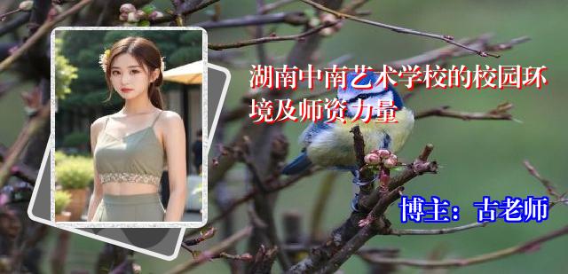 湖南中南艺术学校的校园环境及师资力量