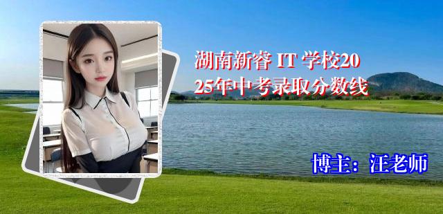 湖南新睿 IT 学校2025年中考录取分数线