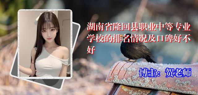 湖南省隆回县职业中等专业学校的排名情况及口碑好不好