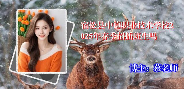 宿松县中德职业技术学校2025年春季招插班生吗