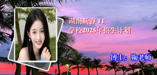 湖南新睿 IT 学校2025年招生计划