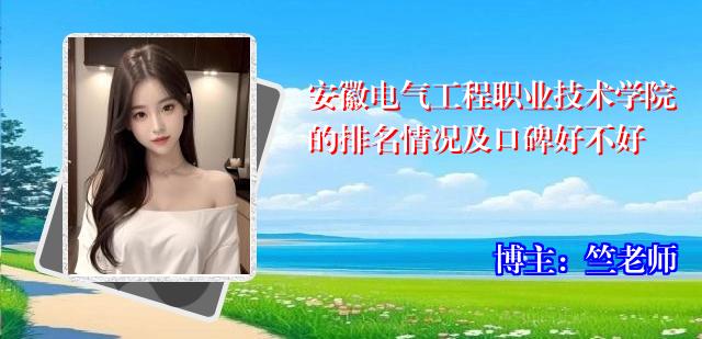 安徽电气工程职业技术学院的排名情况及口碑好不好