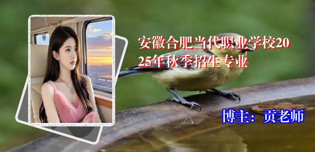 安徽合肥当代职业学校2025年秋季招生专业