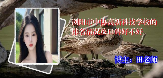 浏阳市中协高新科技学校的排名情况及口碑好不好