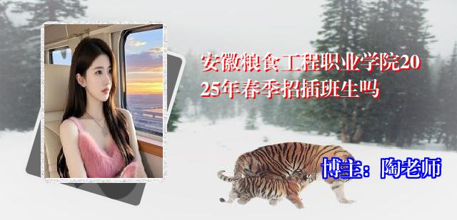安徽粮食工程职业学院2025年春季招插班生吗
