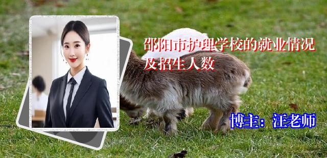 邵阳市护理学校的就业情况及招生人数
