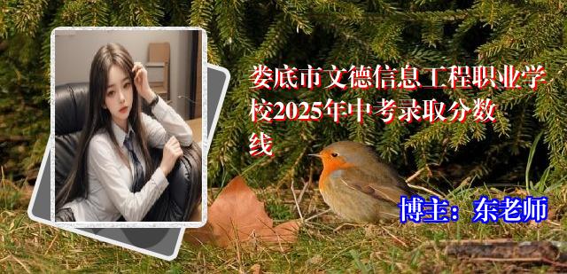 娄底市文德信息工程职业学校2025年中考录取分数线