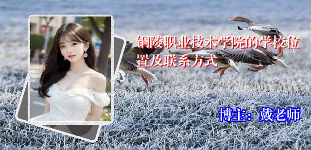 铜陵职业技术学院的学校位置及联系方式