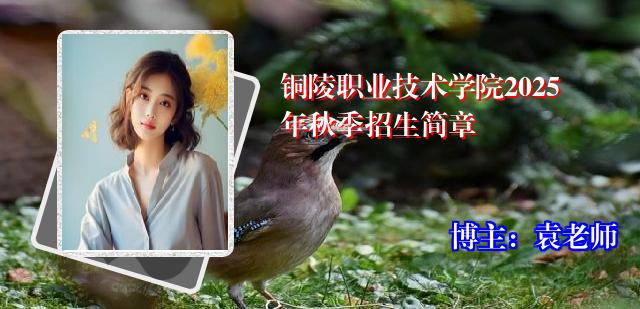 铜陵职业技术学院2025年秋季招生简章
