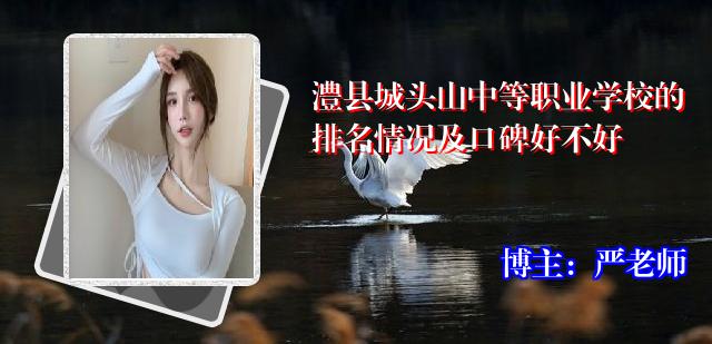 澧县城头山中等职业学校的排名情况及口碑好不好