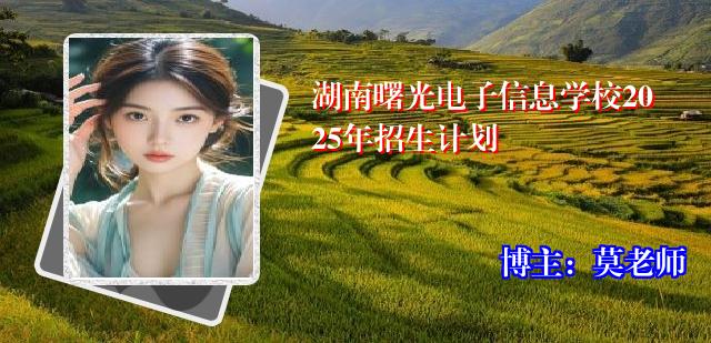 湖南曙光电子信息学校2025年招生计划