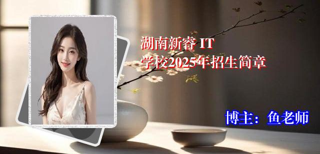 湖南新睿 IT 学校2025年招生简章