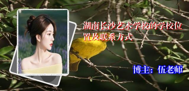 湖南长沙艺术学校的学校位置及联系方式