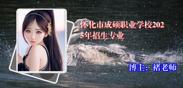 怀化市成硕职业学校2025年招生专业