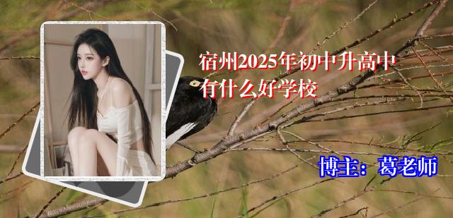 宿州2025年初中升高中有什么好学校