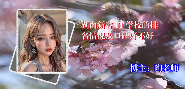 湖南新睿 IT 学校的排名情况及口碑好不好