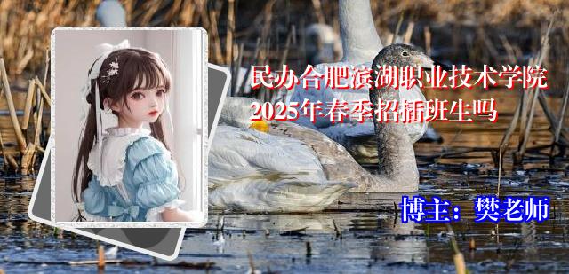 民办合肥滨湖职业技术学院2025年春季招插班生吗