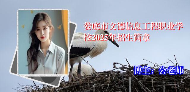 娄底市文德信息工程职业学校2025年招生简章
