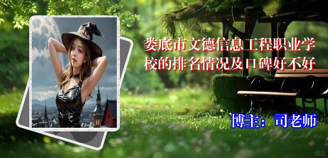 娄底市文德信息工程职业学校的排名情况及口碑好不好
