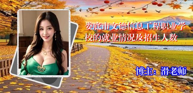 娄底市文德信息工程职业学校的就业情况及招生人数