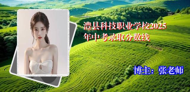 澧县科技职业学校2025年中考录取分数线