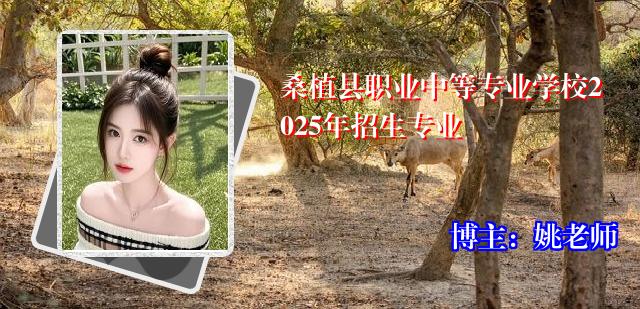 桑植县职业中等专业学校2025年招生专业
