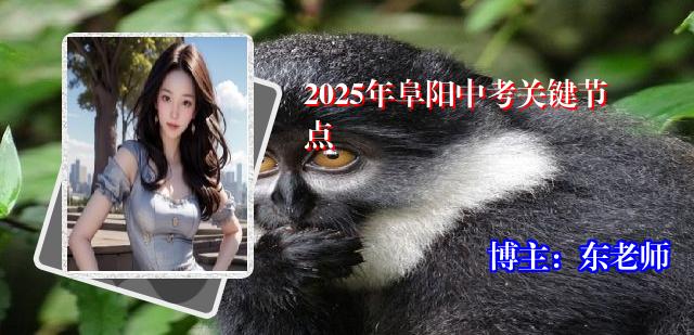 2025年阜阳中考关键节点