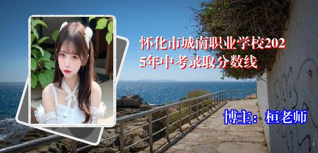 怀化市城南职业学校2025年中考录取分数线